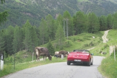 2022-PASSI-ALPINI-CC-PASSO-GAVIA-60