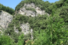 PASSI-ALPINI-L-STRADA-DELLA-FORRA-14