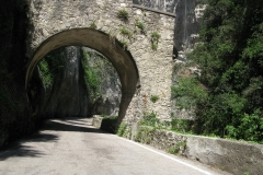 PASSI-ALPINI-L-STRADA-DELLA-FORRA-16