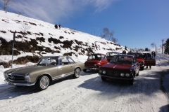 DSC00950_1024x768