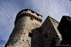 DSC_0773_1024x683