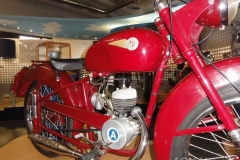 DSC00724_800x600