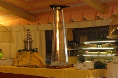 DSC00816_800x600