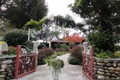 DSC00824_800x600
