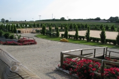 2018-RADUNO-PIAZZA-PASTEUR-20-MAGGIO-75_1024x768