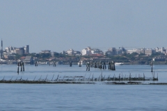 IMG_0417_1024x768