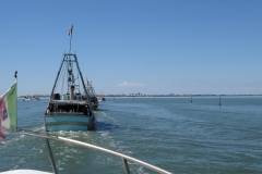 IMG_0423_1024x768