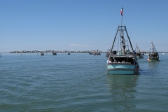 IMG_0432_1024x768