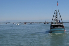 IMG_0445_1024x768