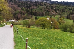 2022-TOUR-COSTANZA-B-VIAGGIO-HEIDI-VILLAGE-28